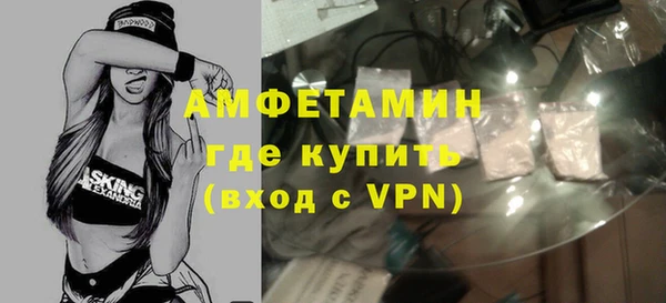 индика Данков