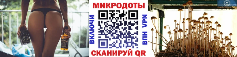 Галлюциногенные грибы Psilocybine cubensis  Лебедянь 